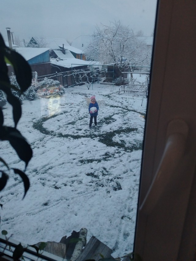 Зима пришла в Беларусь