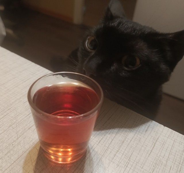 Заеб@ла Долина...а давайте про бухло?