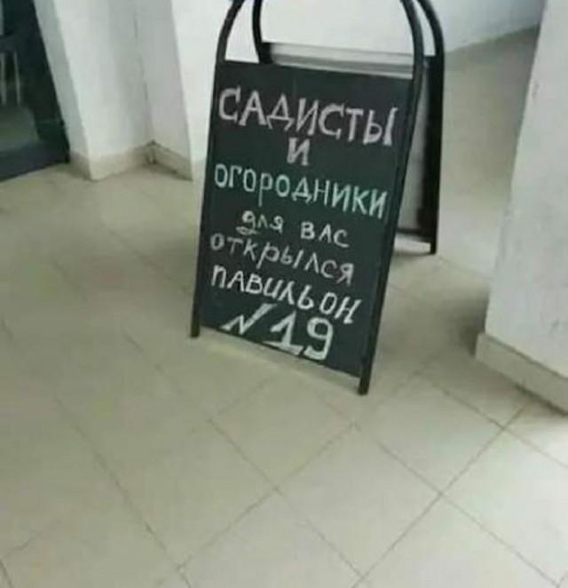 Так себе картинки 26.02.26