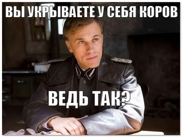 «Вы укрываете у себя коров, ведь так?⁠⁠»