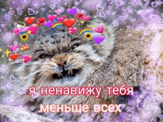 Картинки для деградации 171 (разной степени свежести)