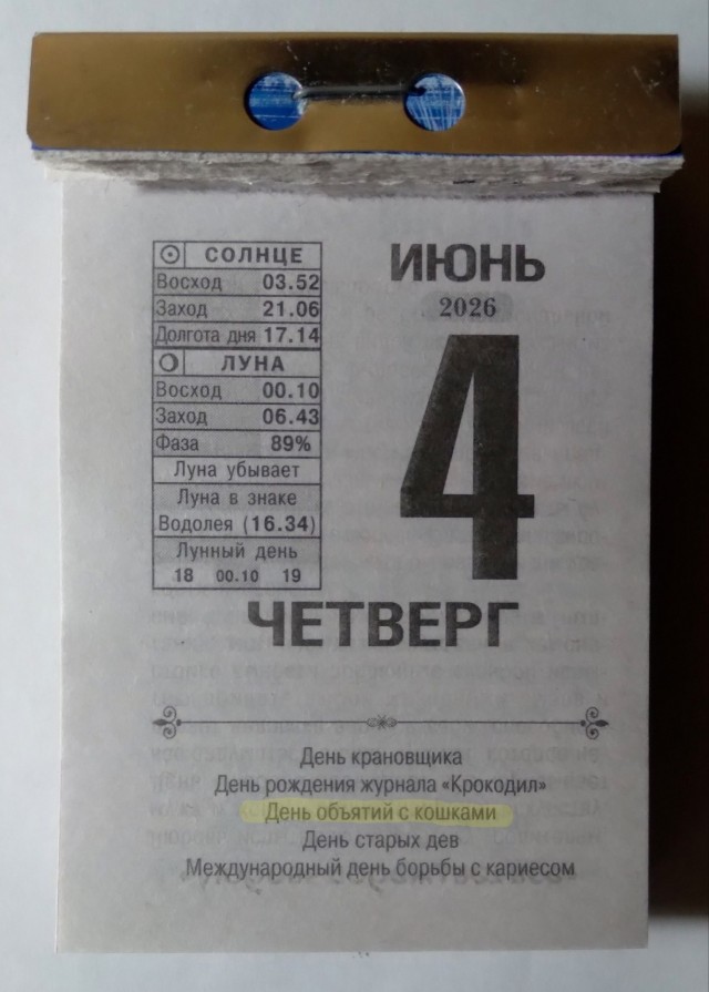 Частые объятия хозяев с кошками грозят питомцам страшными последствиями