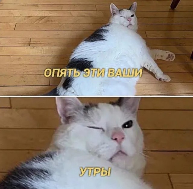 Доброе Утро!