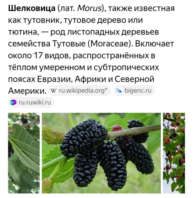Зачем мне мужчина если он не делает мою жизнь лучше?