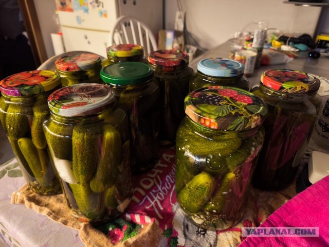 Как я засаливаю (мариную)  огурцы. Мой рецепт