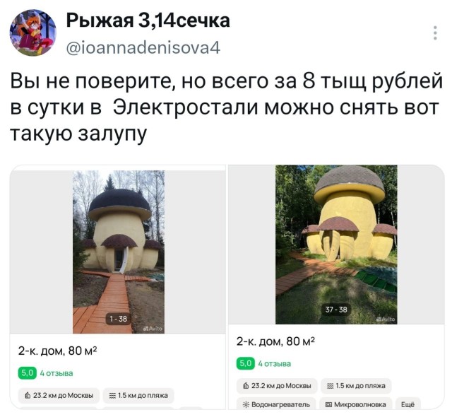 Картинки для деградации 250 (разной степени свежести)