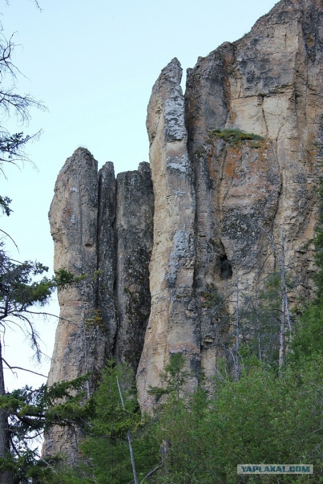 Ленские столбы