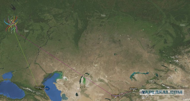 Решение проблемы с мигрантами и давки в метро.