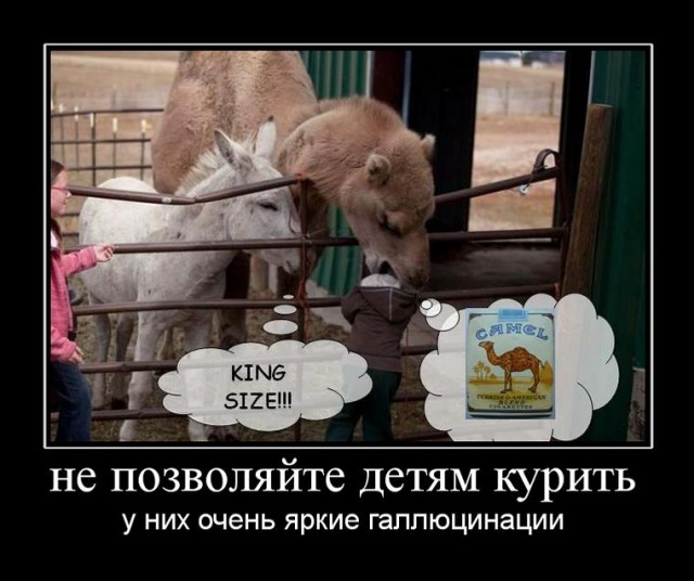 А говорили "Животных не кормить"!