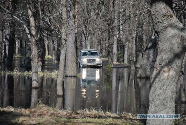 2121 или 33 года