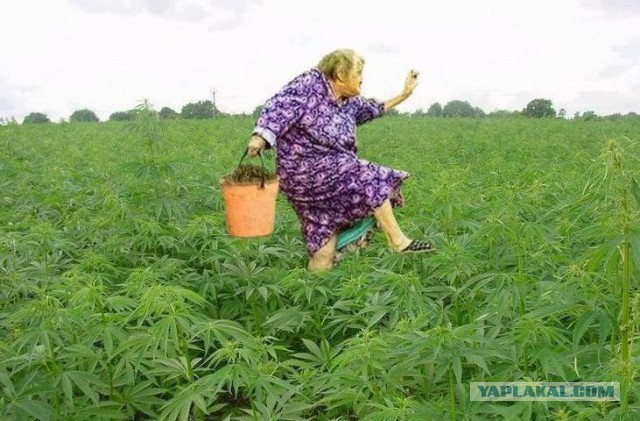 Чёрт, чёрт, чёрт!