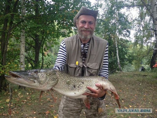 Осенняя рыбалка на Линя.