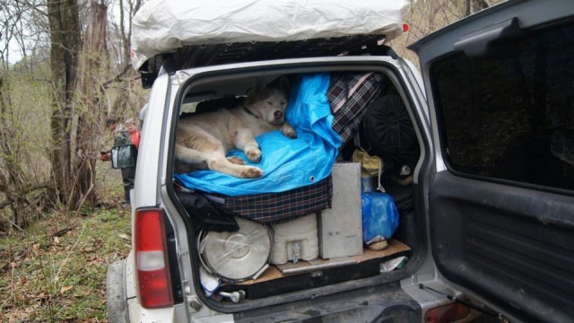 5 Любимых внедорожников россиян