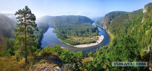 Горганы