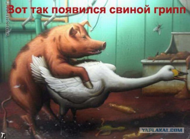 Немного юмора