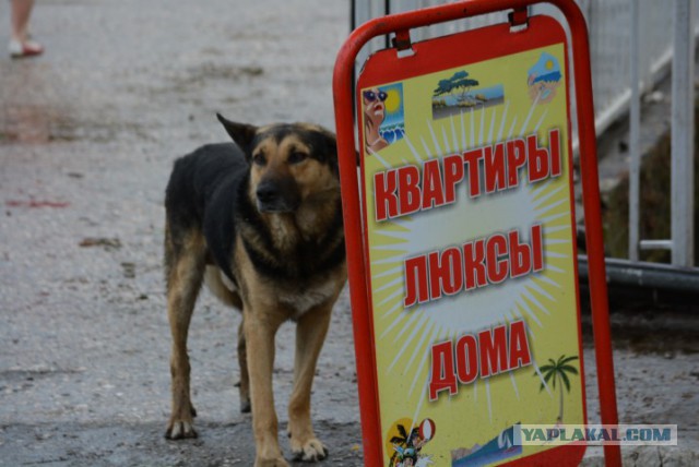 Как мы в Крым съездили