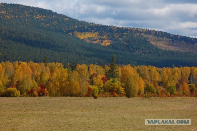 Это Россия, детка