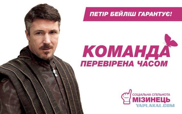 Выборы-выборы! Кандидаты... молодцы.