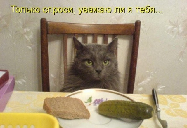 Абсурдный юмор ч.3