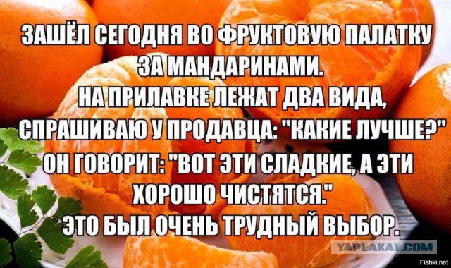 Подборка интересных и веселых картинок