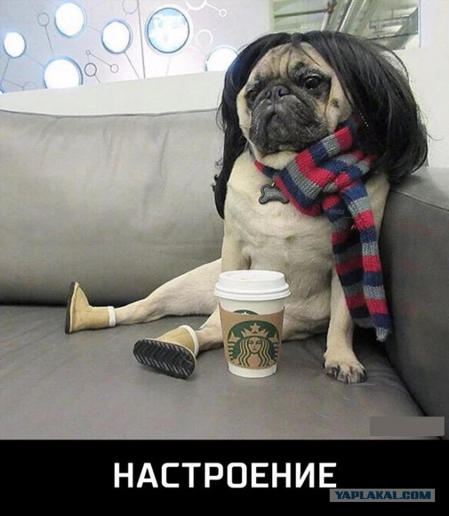 Скоро Новый Год. Но как-то грустно...