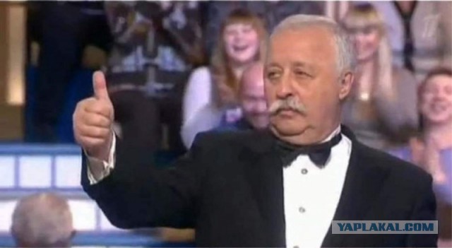 А это не пауки! Кто же тогда?