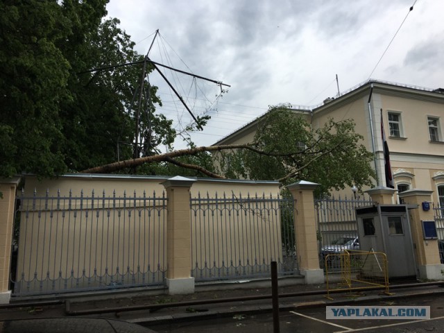 В Москве ураган!
