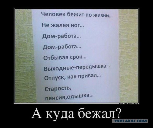 Патриарх и паства