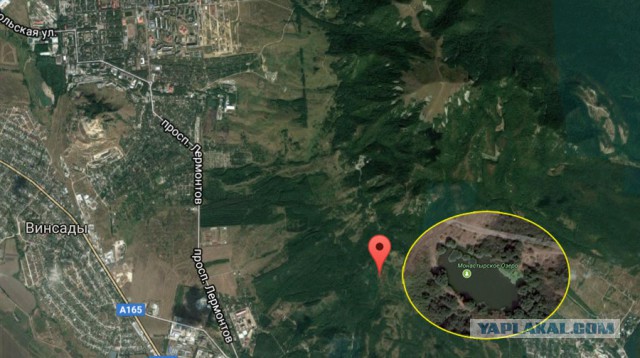 Бегемоты в Пятигорске уничтожили кувшинки в Монастырском озере