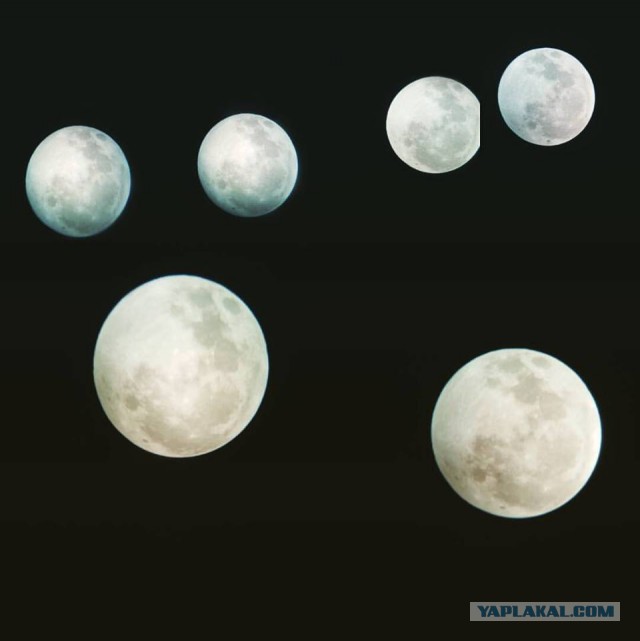 В планетарии рассказали о подробностях лунного затмения 7 августа