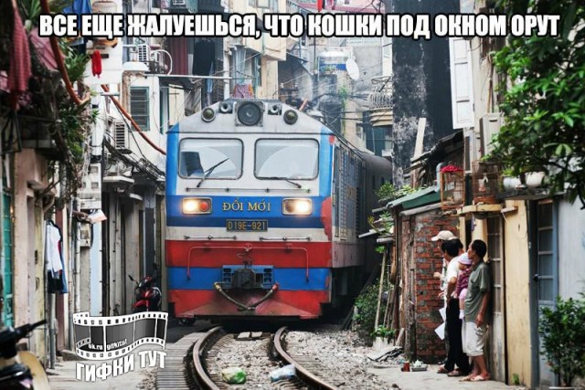Баянистая годнота - 2