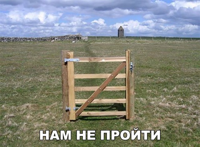 Всякая всячина