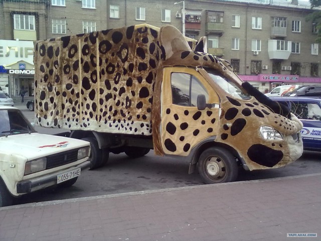 КотоГазель