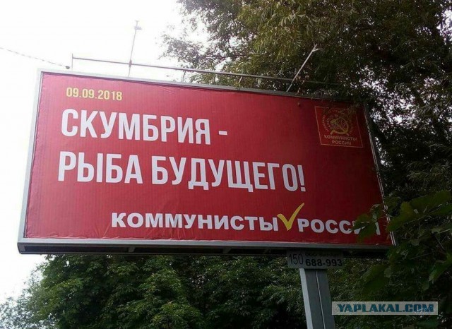 Рыба будущего? Может кто пояснить?