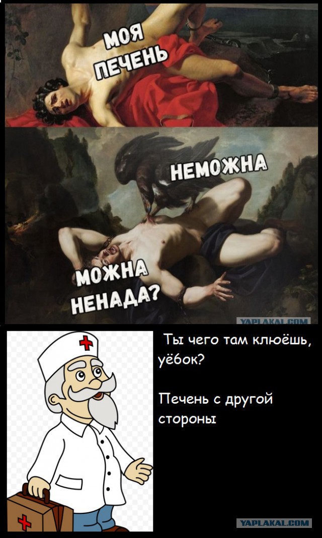 Куда катится жизнь