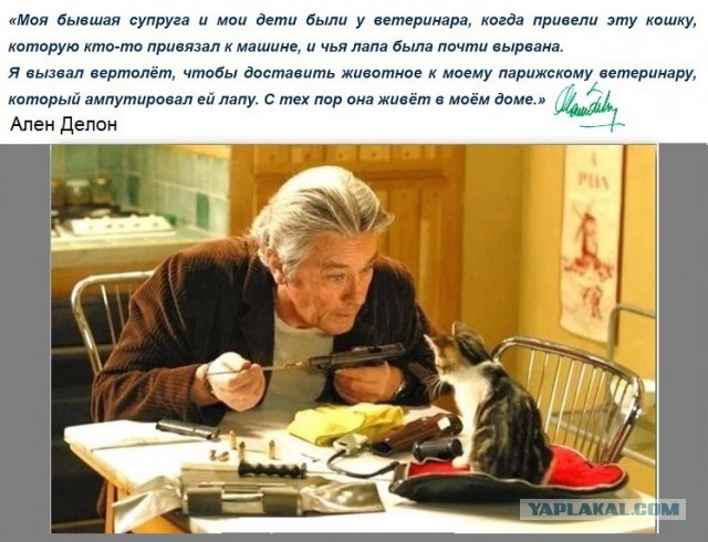 Я реально пообщалась с зоошизой