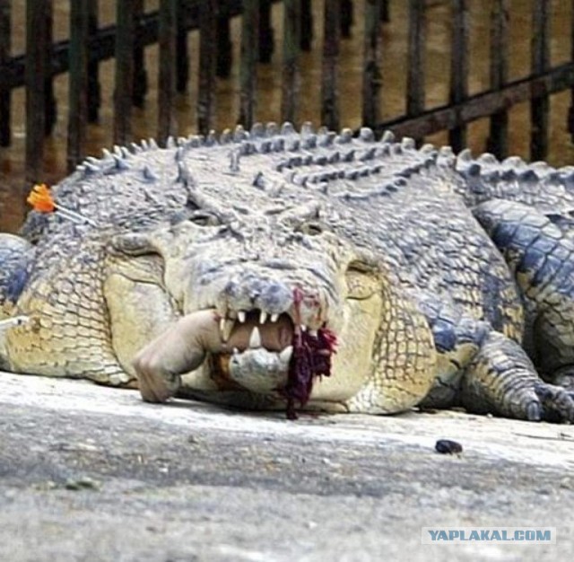 Краткосрочный отпуск с Радуги