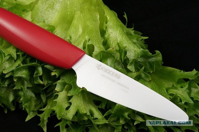 10 крайне необычных продуктов, которые производили или производят те компании, от которых этого и не ожидаешь