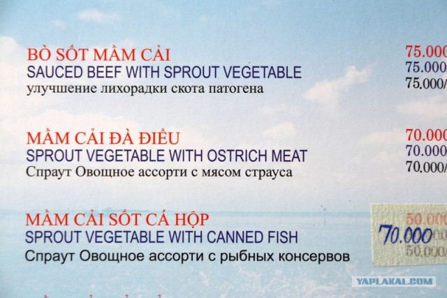 Великий и могучий