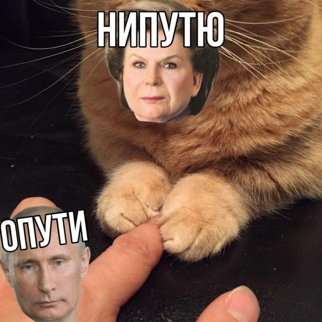 Бредзона 16.03.2020