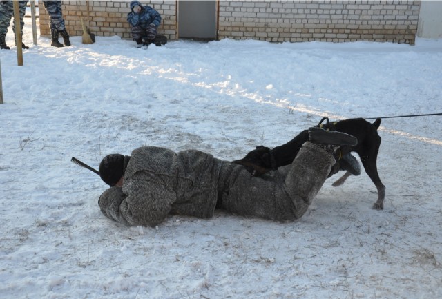 Большие добрые собаки