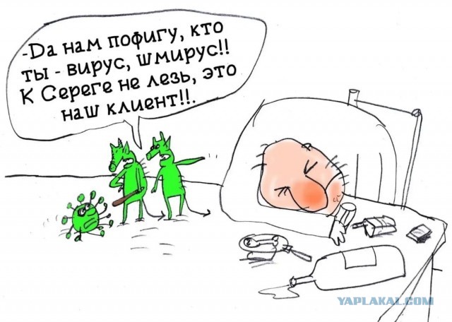Почему люди, употребляющие алкоголь, практически не болеют простудными заболеваниями?