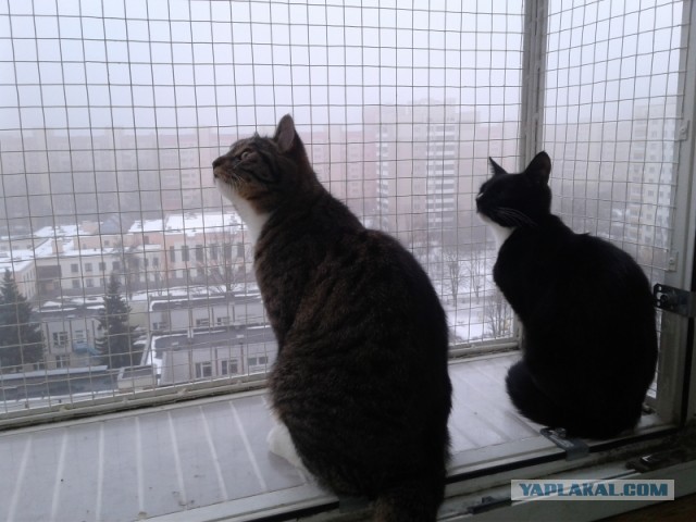 Давно так не волновался