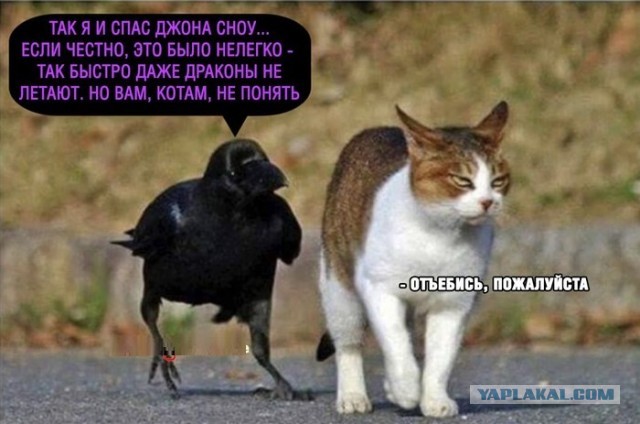 Подборка старых мемов и баянов