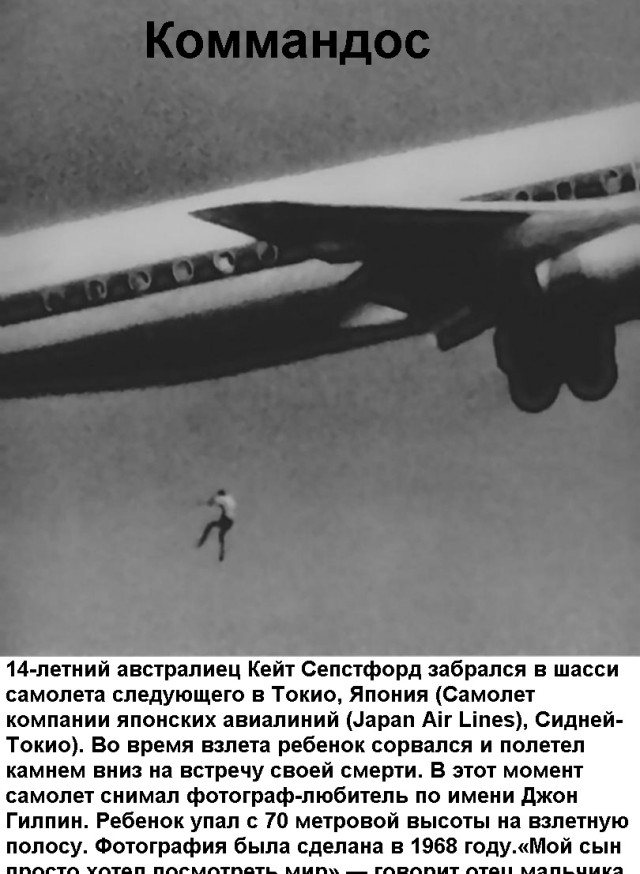 Картинки и мемы для настроения 16.06.2021