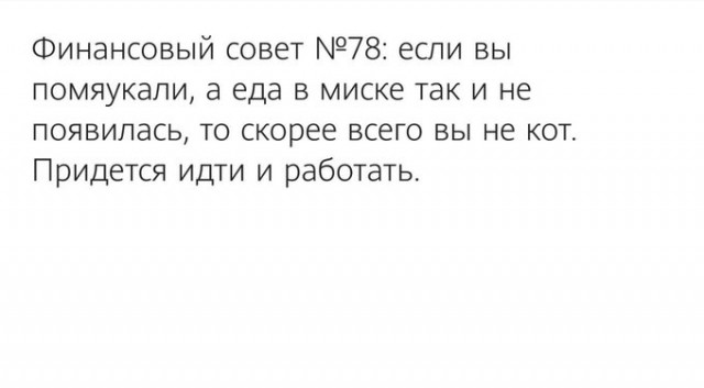 Чем порадует тырнет в субботу?