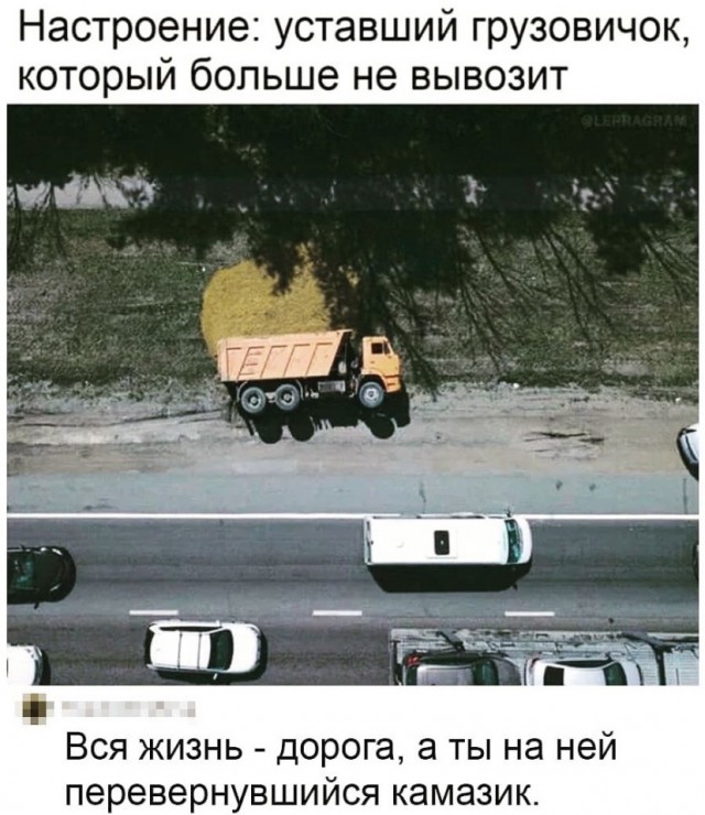 Юмор и прикольные картинки