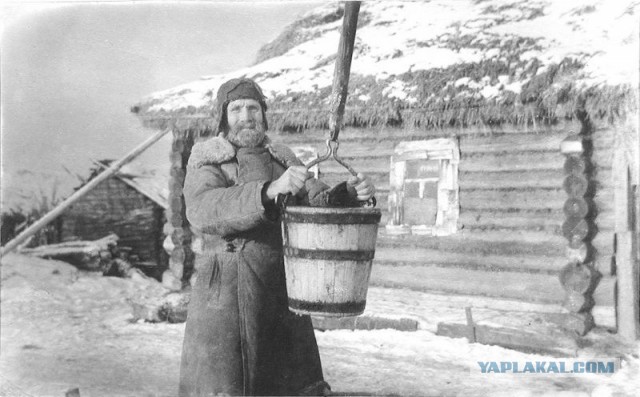 Ловушка Матвея Кузьмина