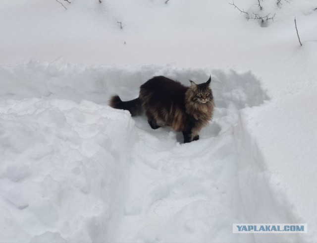 У нас пополнение