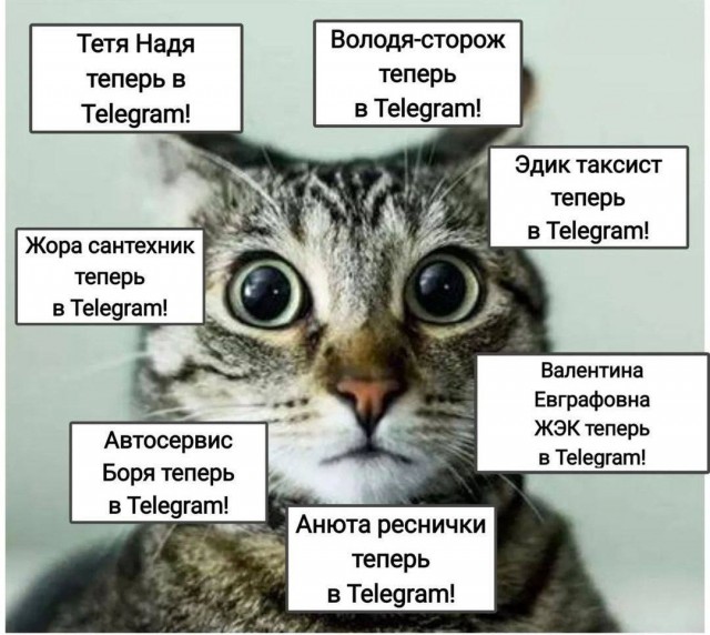 40 картинок разных 14.03.2022
